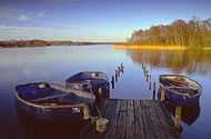 Rollesby Broad