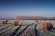 Hilgay Fen Hay Bales